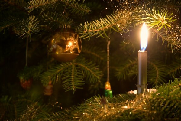 A dangerous candle on a Christmas tree