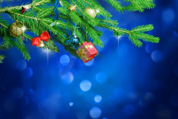 Christmas toys on a fir branch