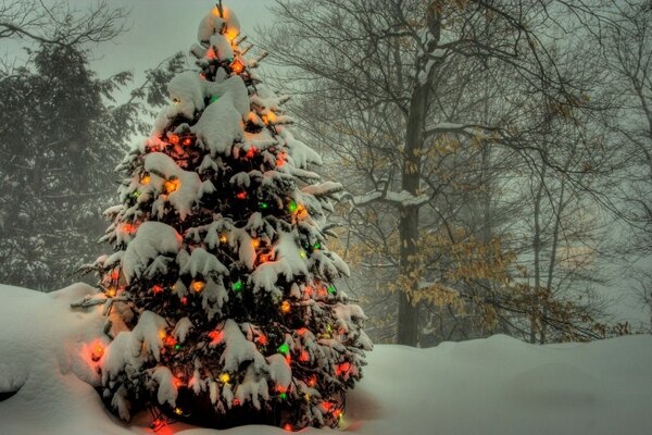 Ein schneebedeckter Weihnachtsbaum mit einer Girlande verziert. Fabelhaft schön