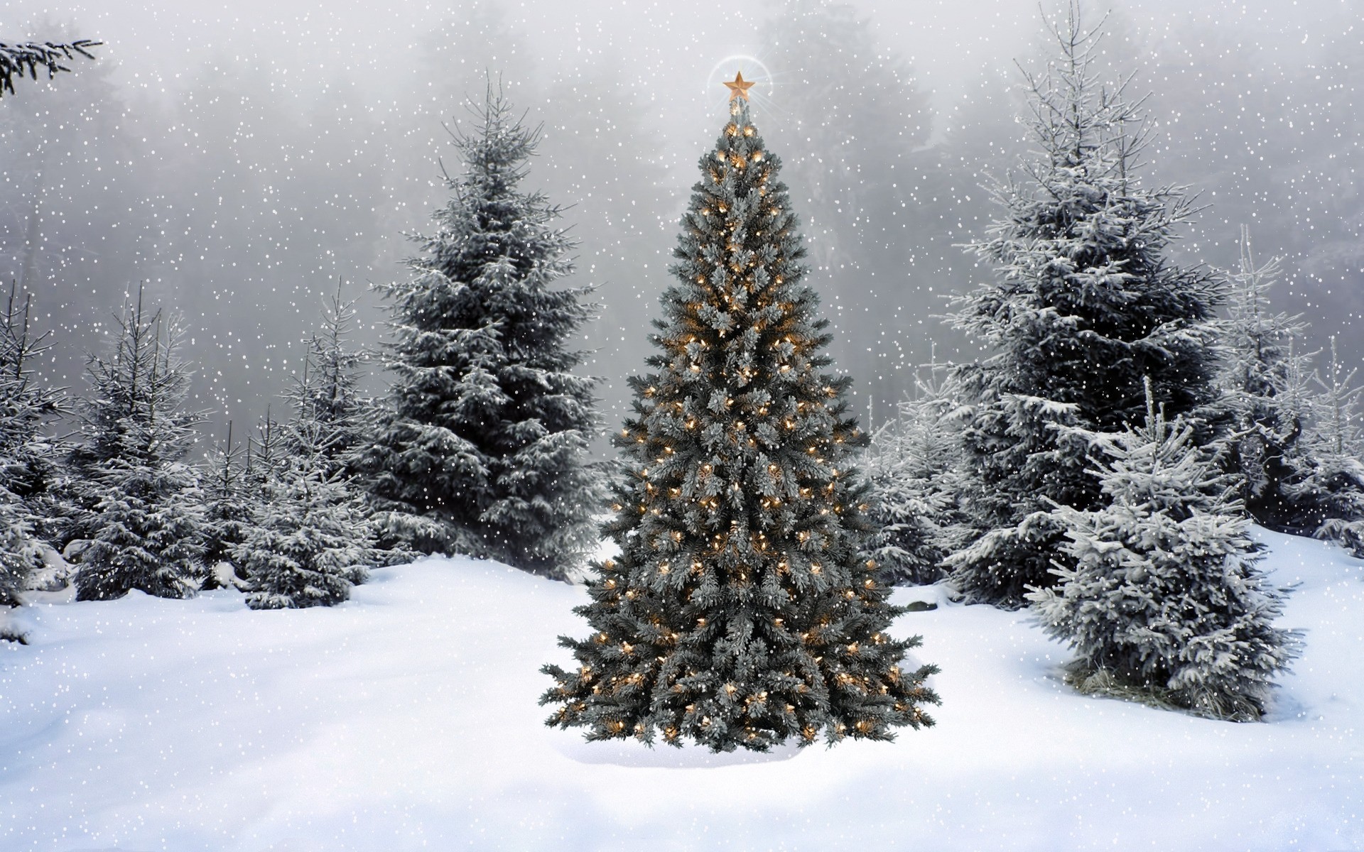 árbol de navidad luces año nuevo guirnalda vacaciones bosque abeto nieve decoración estrella