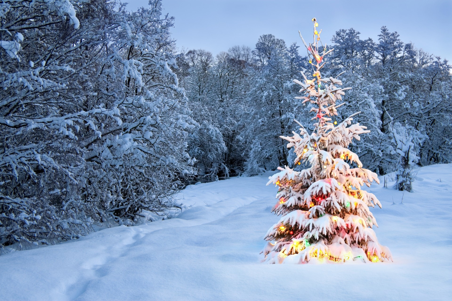 albero di natale nuovo anno