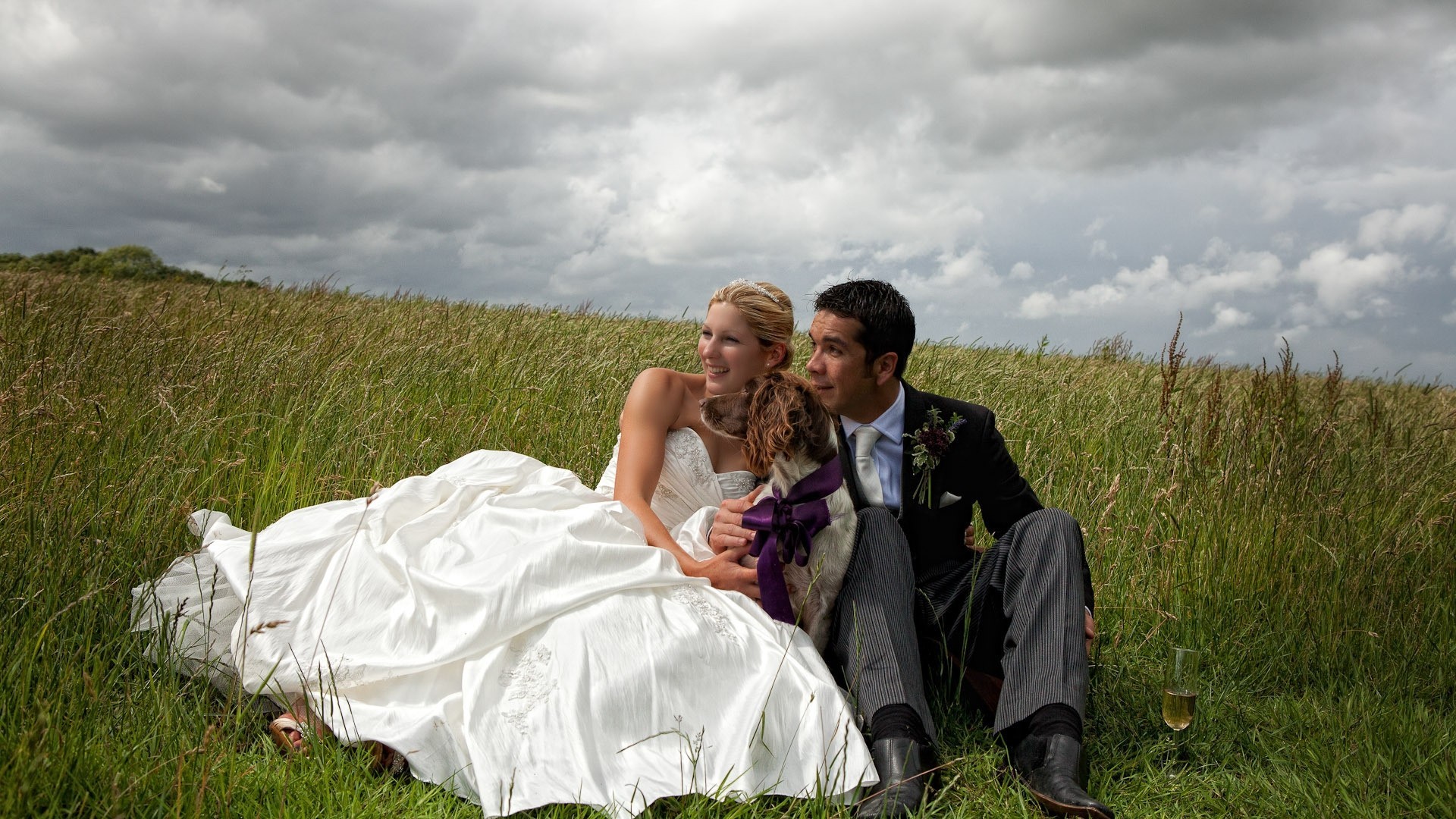 felicità due cane vetro matrimonio umore campo