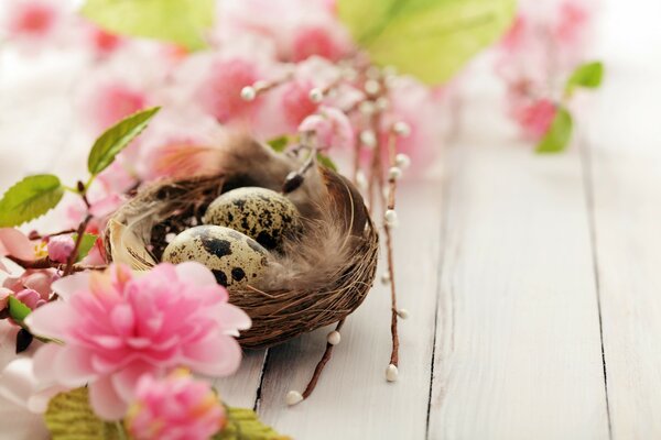 Quail eggs in the basket