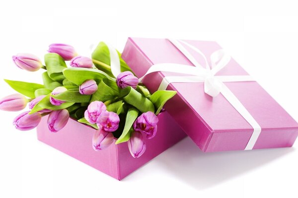 Gift box with pink tulips