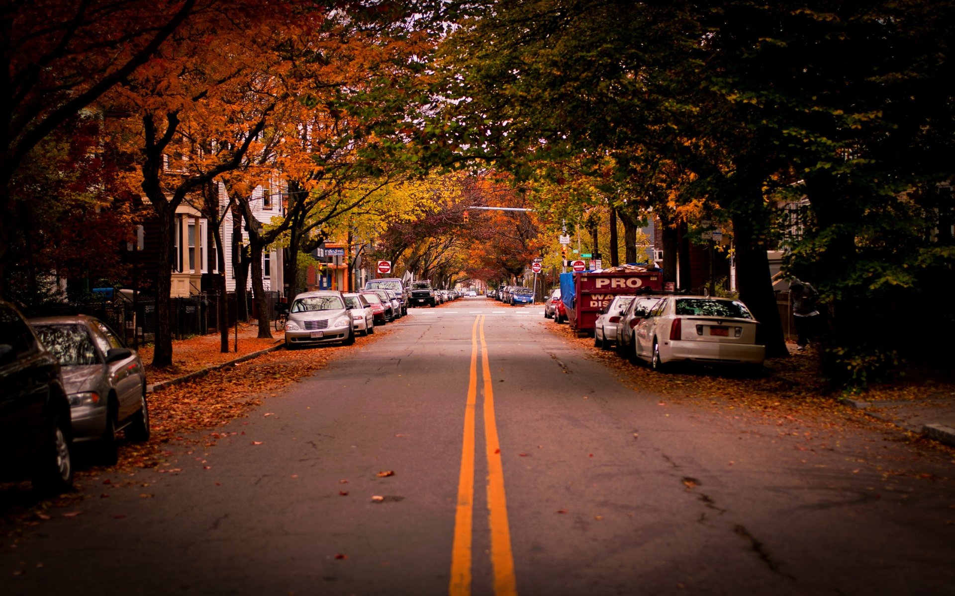 cambridge usa straße autos bäume