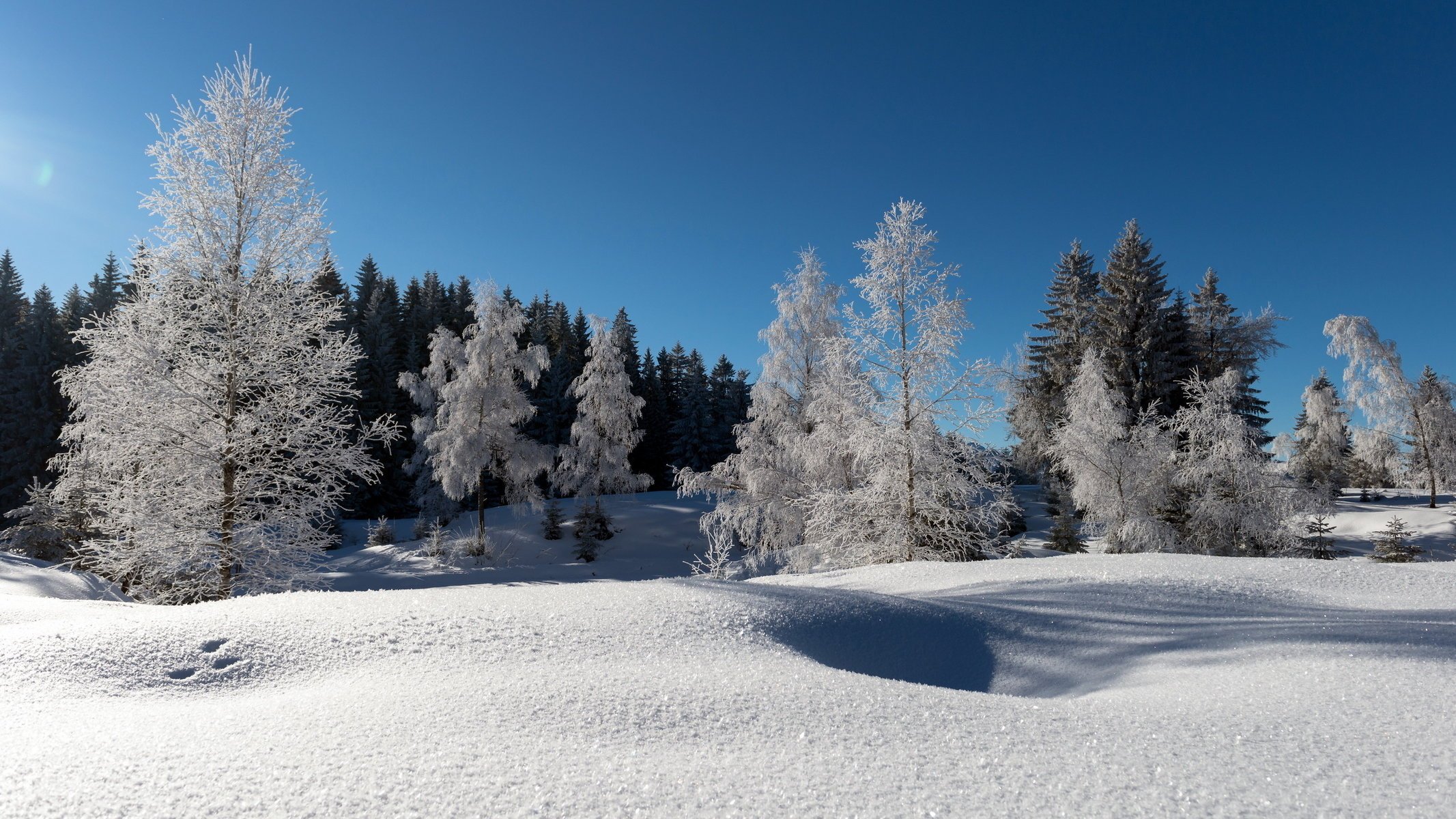 hiver paysage nature