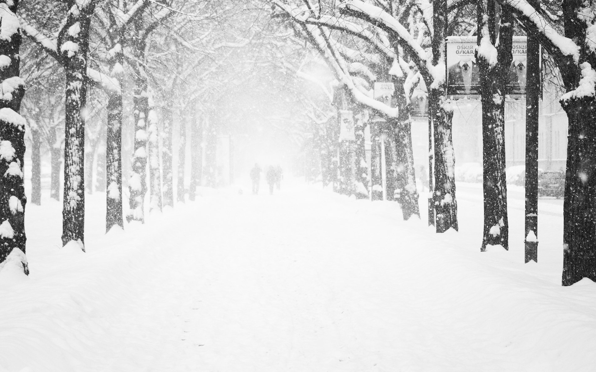 ciudades calle calles imágenes de un nuevo año año nuevo callejón callejones carretera carreteras parques árbol árboles invierno fondos de pantalla de invierno fondos de pantalla de invierno naturaleza de invierno nevadas copo de nieve copos de nieve ventisca tormenta de nieve escarcha frío escarcha personas residentes hombre chico chica