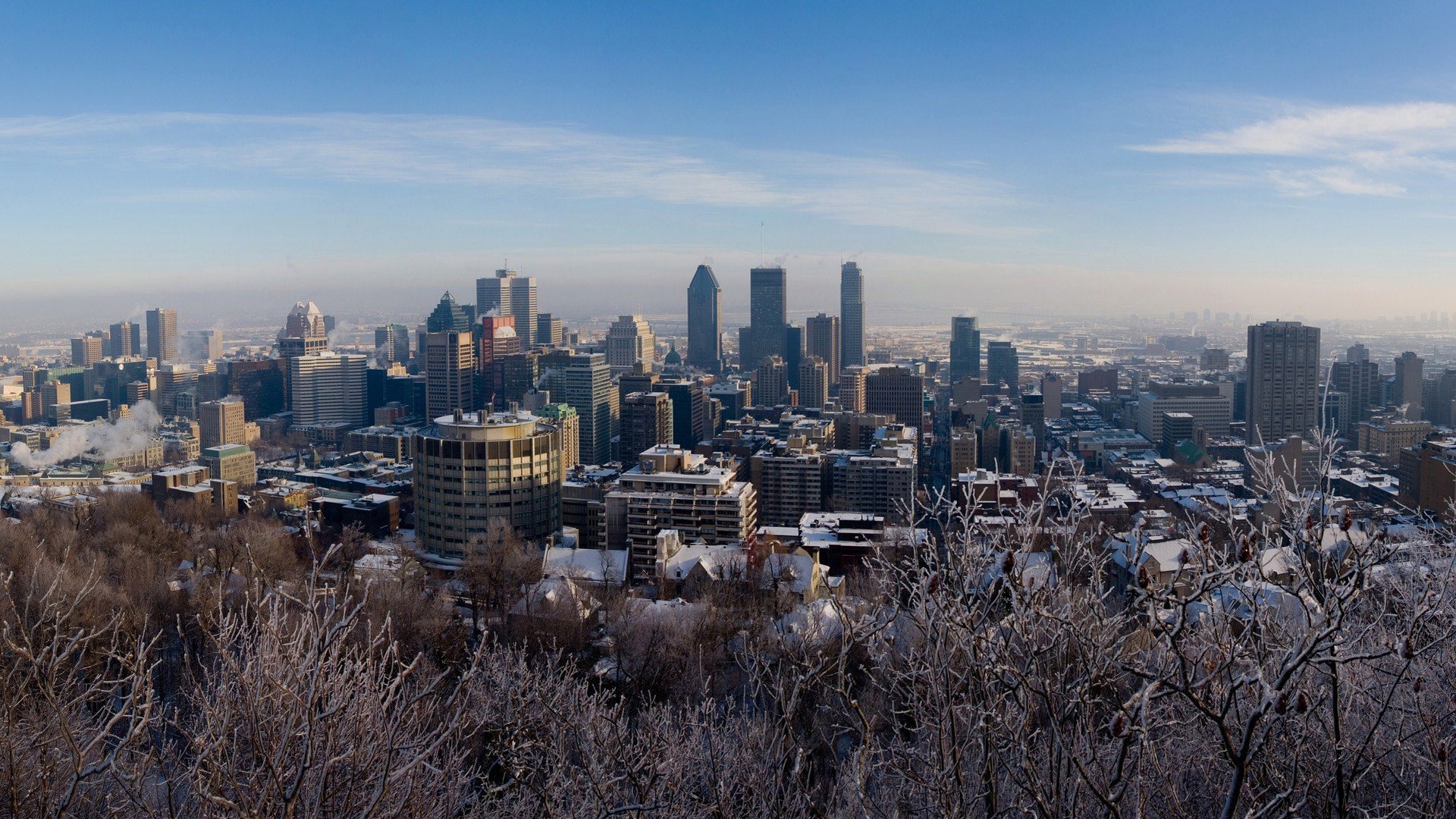 montreal canada tree snow winter