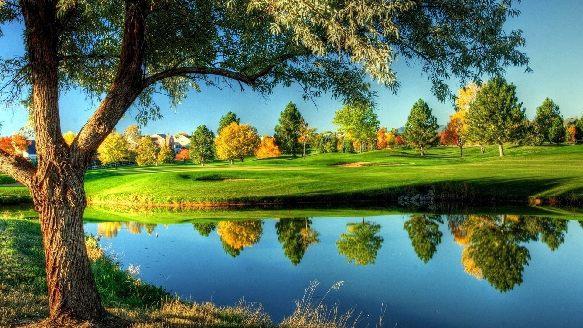 lago cielo erba alberi