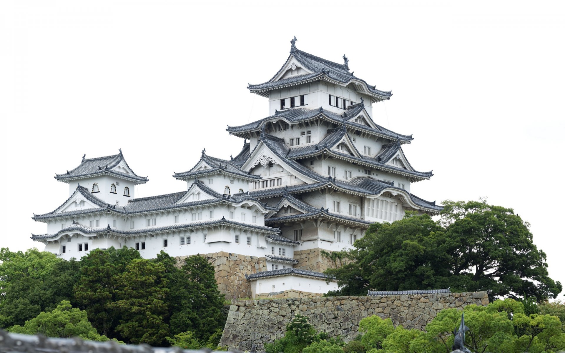 árboles japón templo