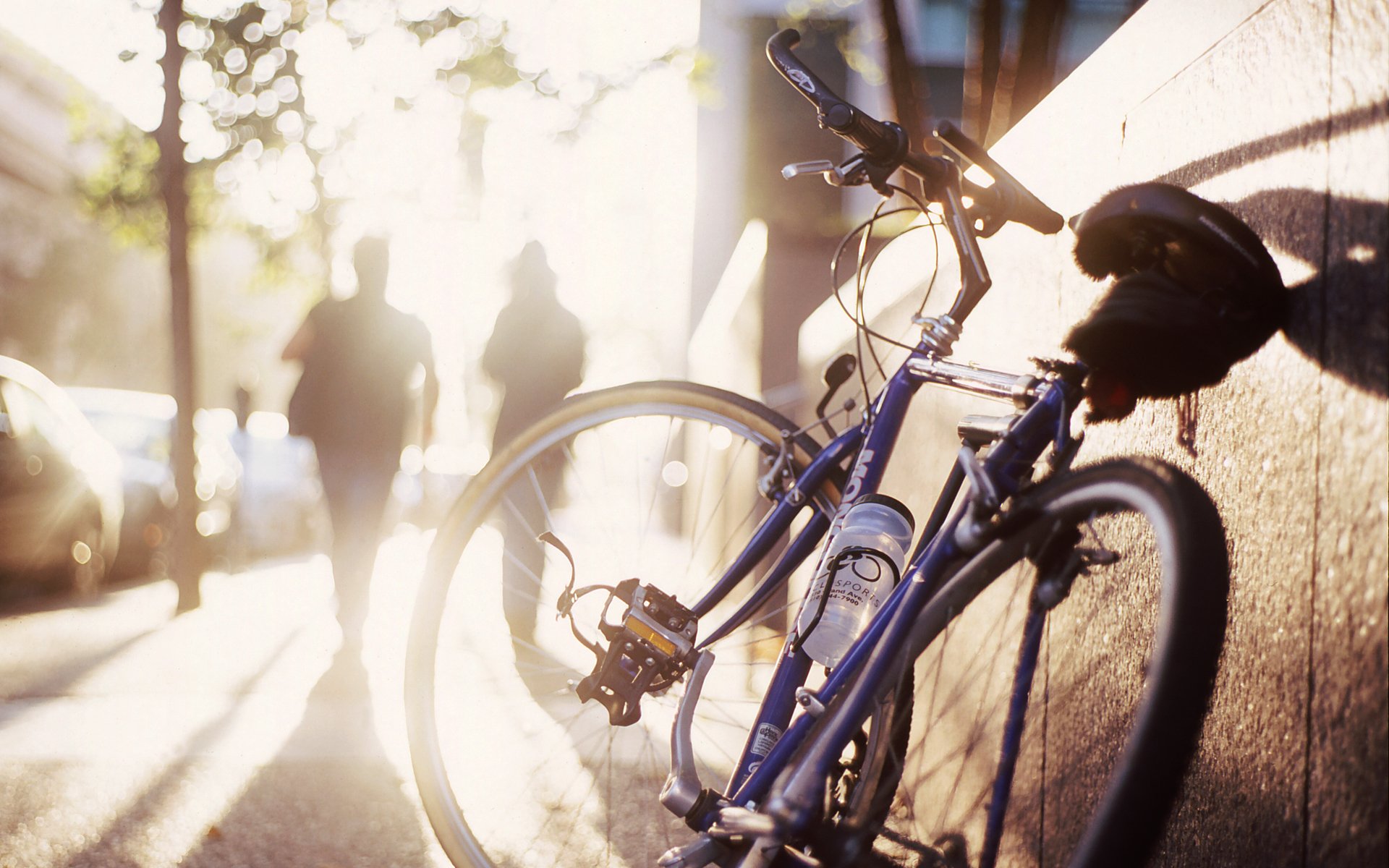 treet pavement silhouettes sun bike morning shadow bokeh