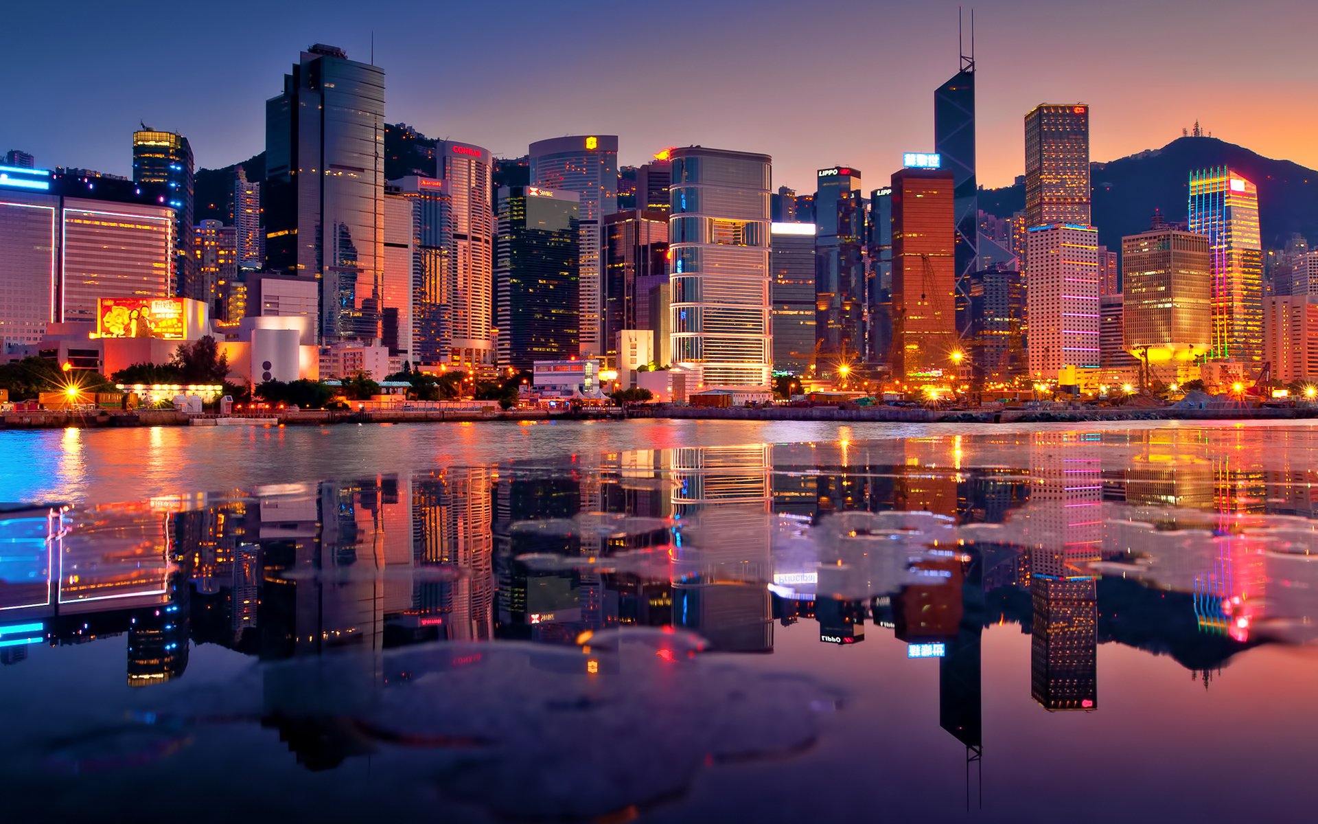 hong kong sunset buildings skyscraper gulf lights night