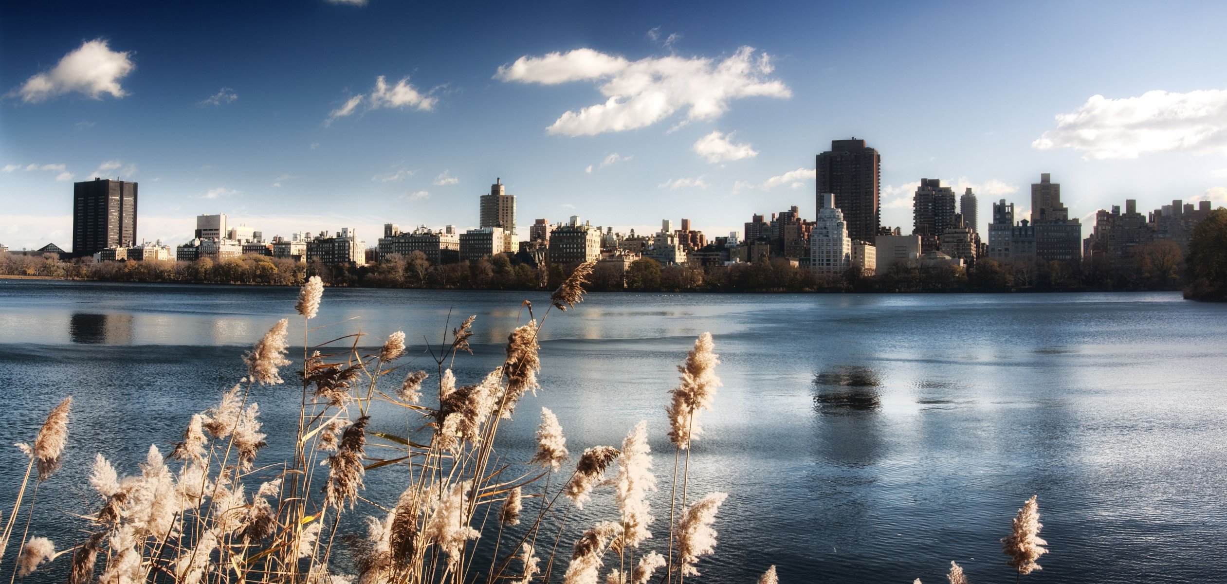 new york central park lake water sky buildings united state