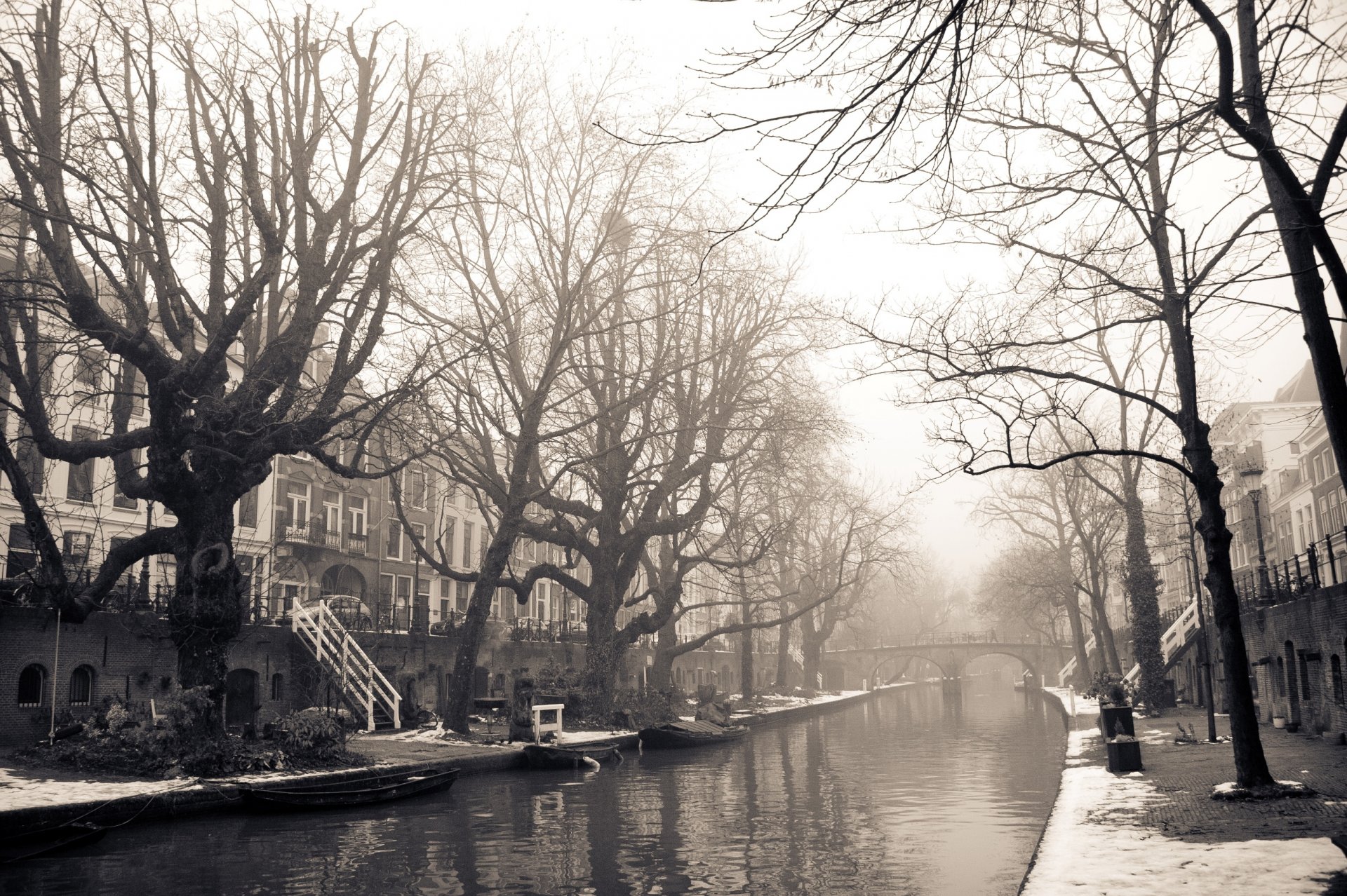 town amsterdam the netherlands street house buildings bridge river tree winter snow photo black white background wallpaper