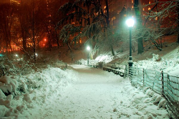 Красивый парк с городскими фонарями