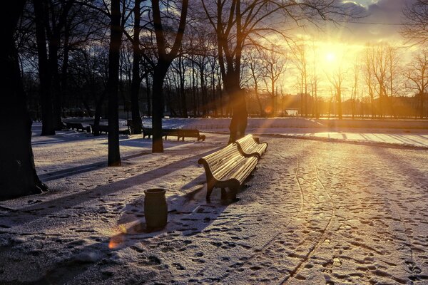 Dawn in the winter snow park