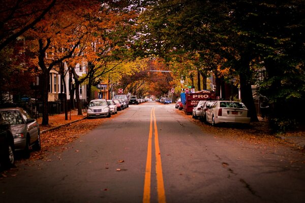 Autumn road in the USA