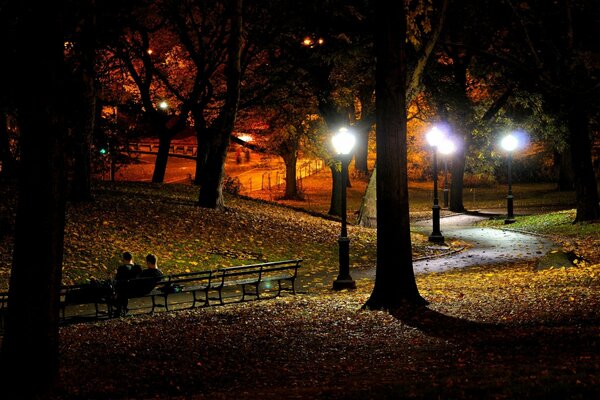 Herbstpark in New York bei Nacht