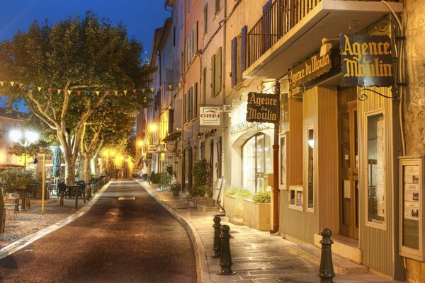 Árboles y linternas en la calle de la noche