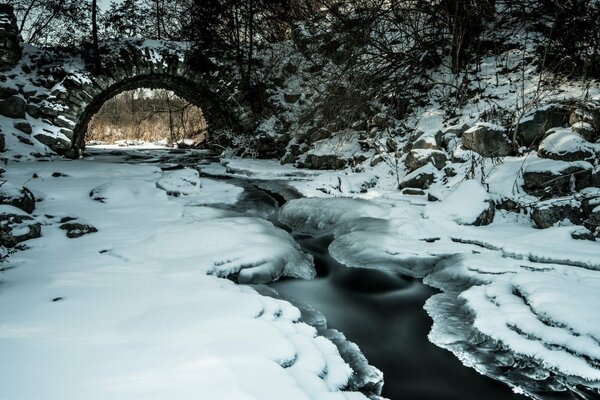 Deshielo de invierno en el bosque junto al arroyo