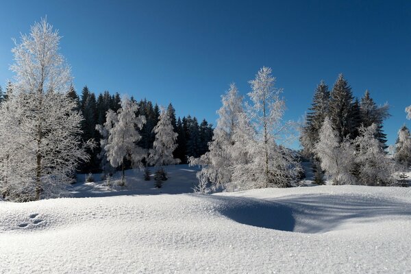 Frost and sun, a wonderful day