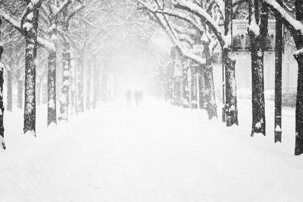 Vicolo di neve sulla strada invernale