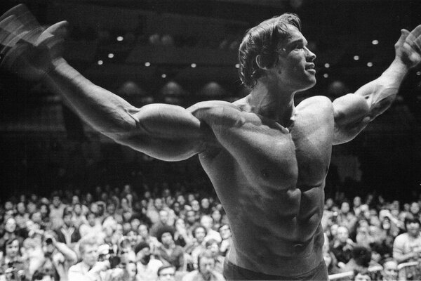 Muscular Arnold Schwarzenegger black and white