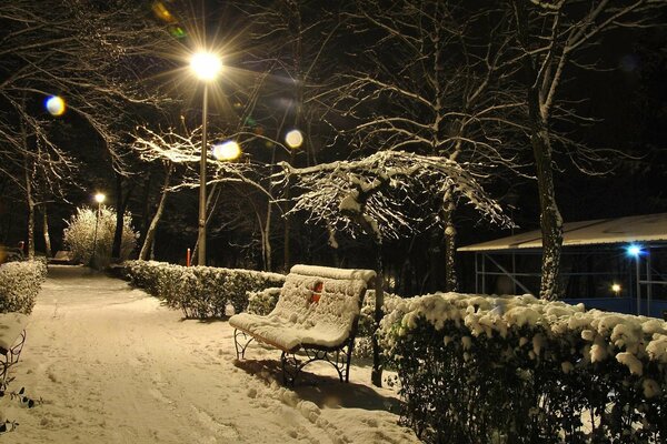 Panchina nella neve in inverno serale