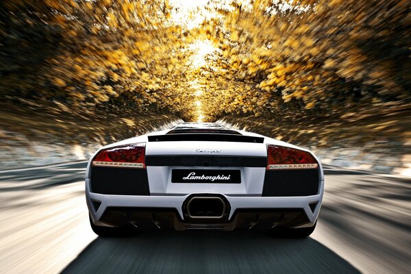 Lamborghini murcielago LP640 races at the speed of light in autumn