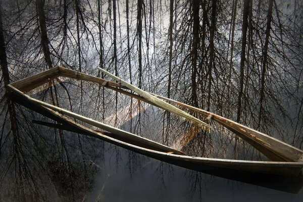 Hopes and dreams drowned in the lake