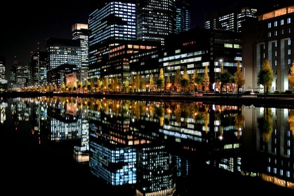 Japón Nocturno. Ciudad en luces