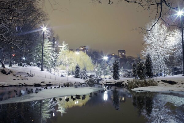 Winter City Park with lanterns