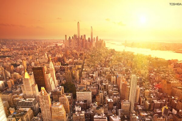 Buildings and houses of New York at dawn