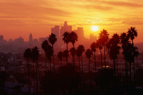 Tramonto negli Stati Uniti nella città di Los Angeles