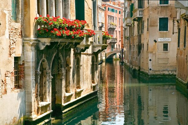 Italian balcony with red flowers