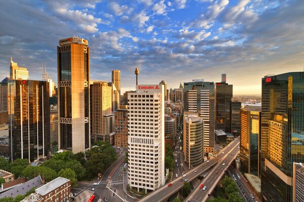 Skyscrapers, towers, overpasses - signs of a real metropolis