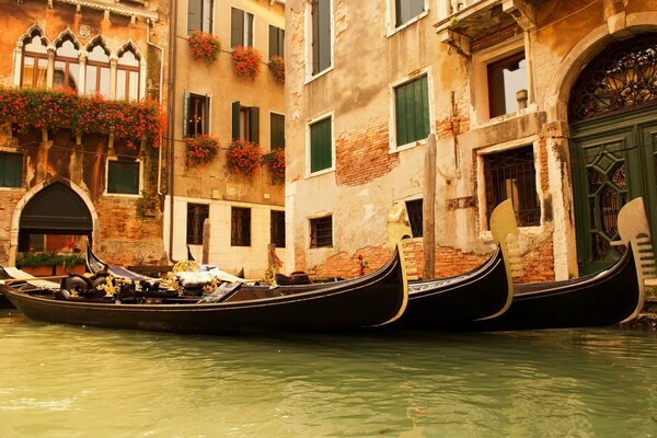 Gondeln in Venedig. Häuser und Fenster mit italienischen Blumen