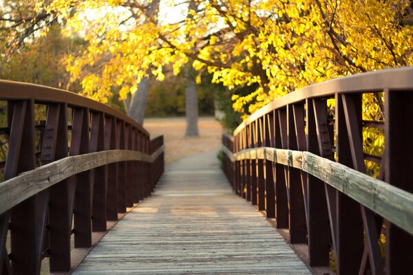 Brücke und Herbstbäume mit gelben Highlights