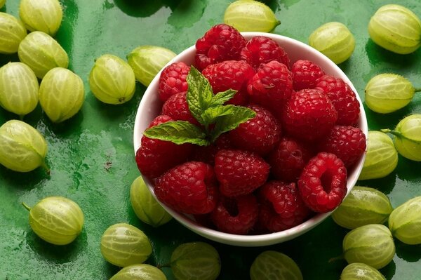 Raspberries and gooseberries on a green background