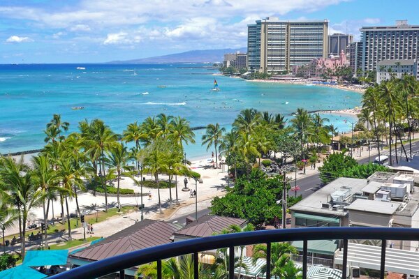 Playa soleada con palmeras en Hawai