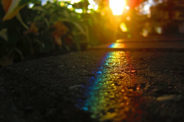 Colorful sunny road in colors