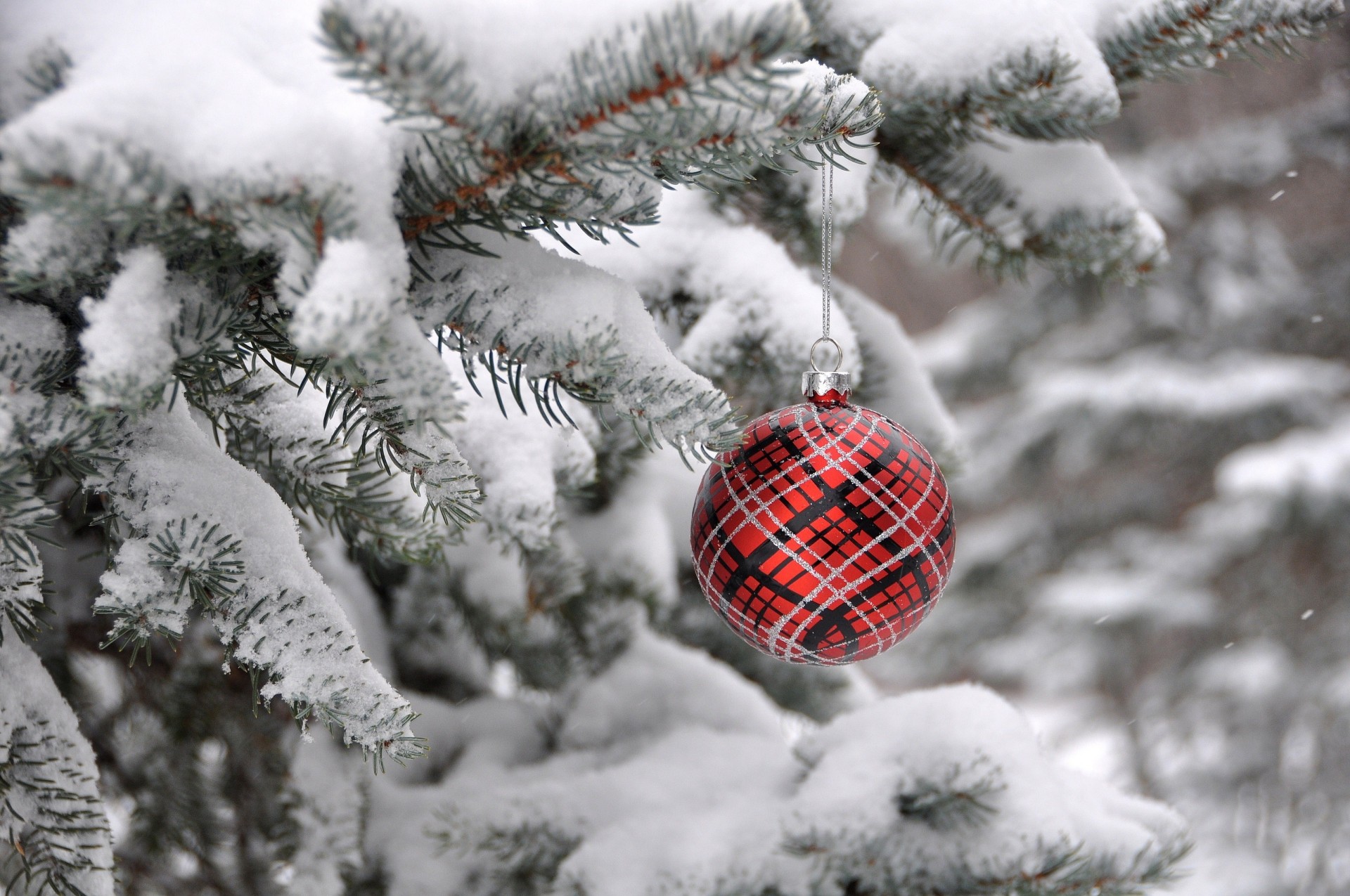 boule neige hiver branche