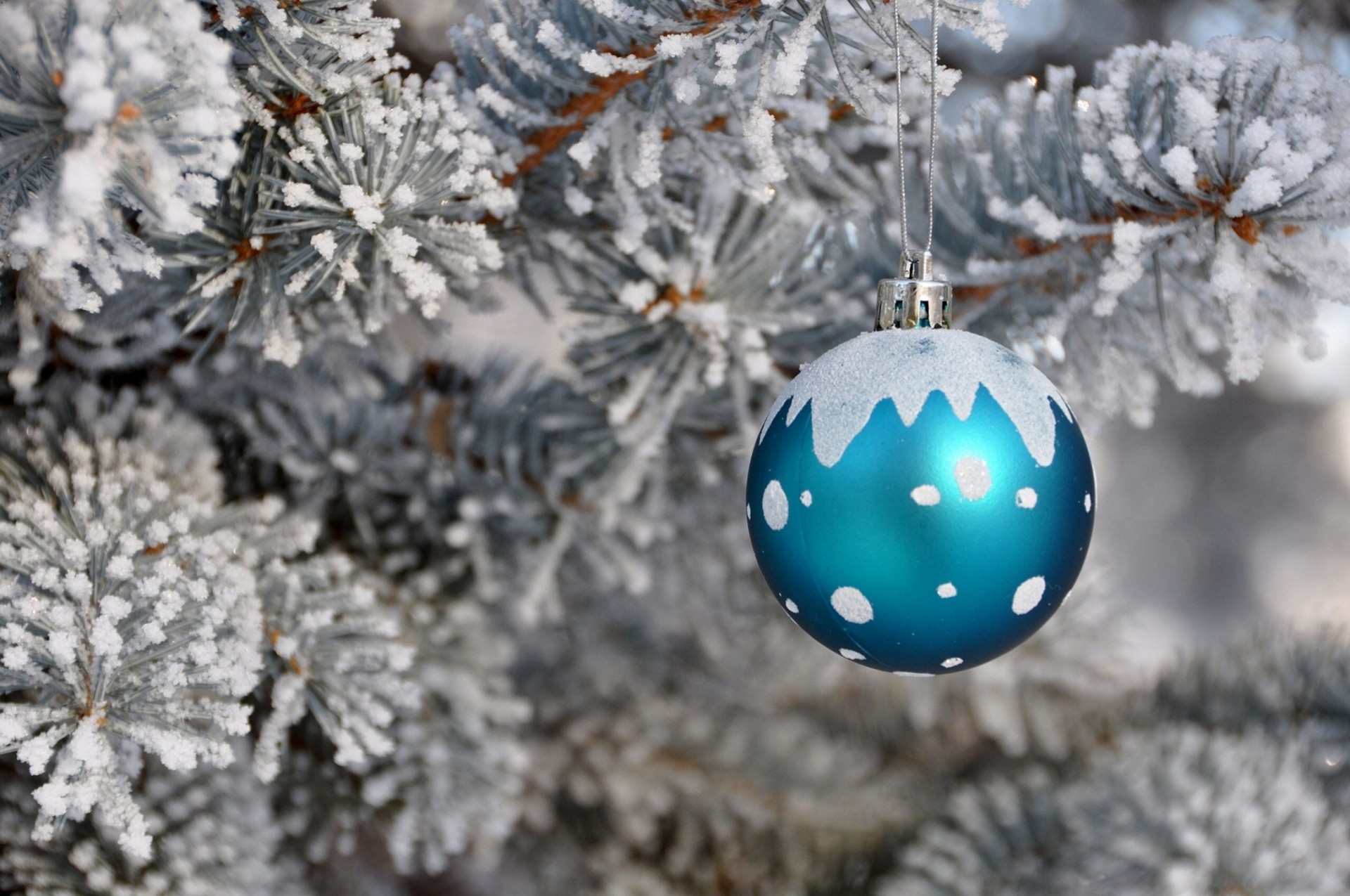 christmas tree ball frost toy