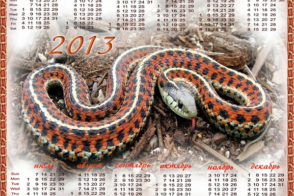 Calendario per il nuovo anno del serpente