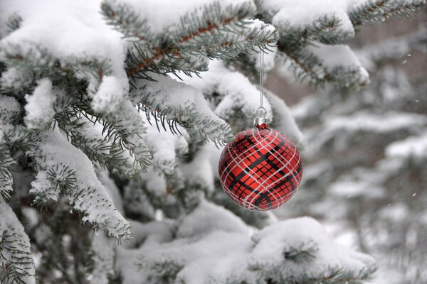 A red ball on a snow tree