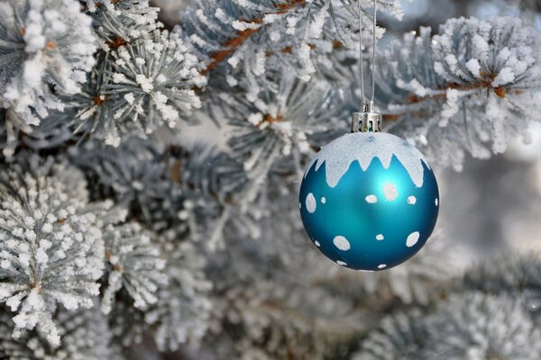 Blaue Weihnachtskugel auf einem schneebedeckten Weihnachtsbaum