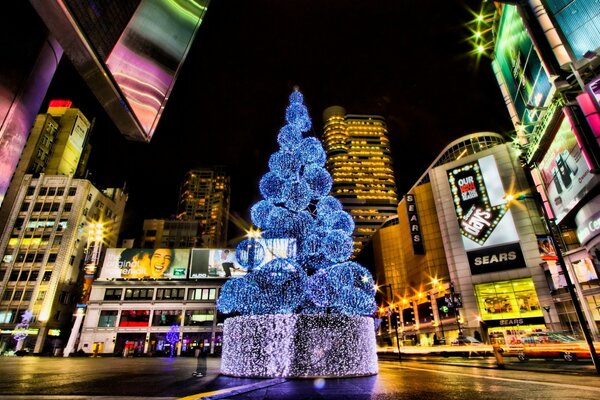 Christmas tree on the square