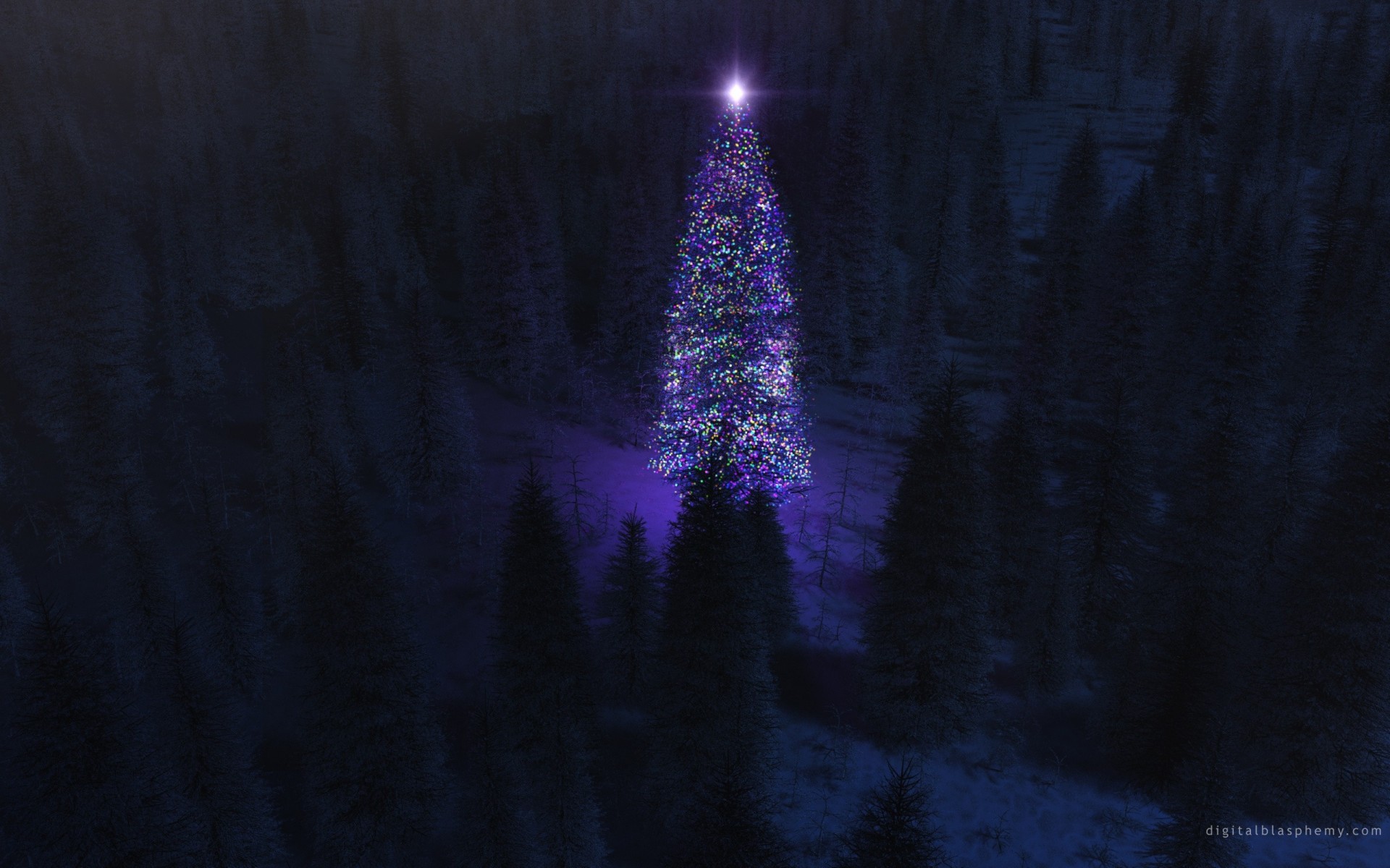 christmas tree night forest new year light