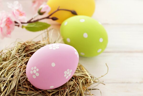 Colorful Easter eggs on straw. Branch with flowers