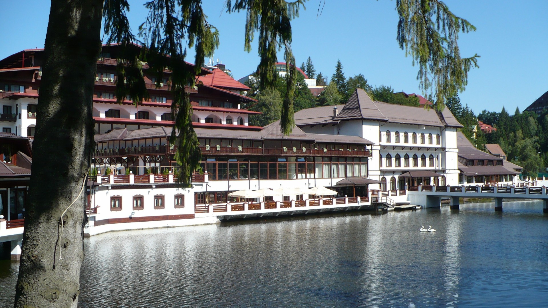 łabędzie lakier hotel